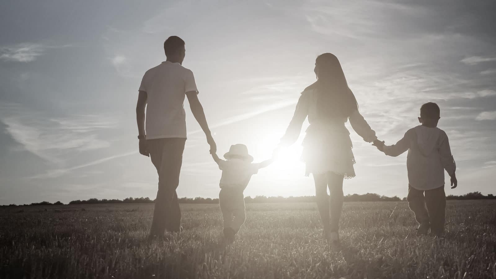 Direito de Família e Sucessões